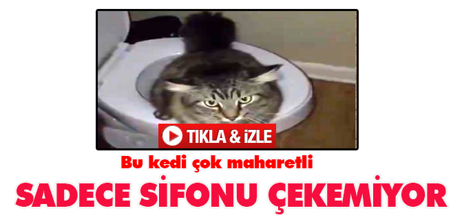 Sadece sifonu çekemiyor