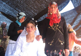 "Toroslarda bir Yörük düğünü"