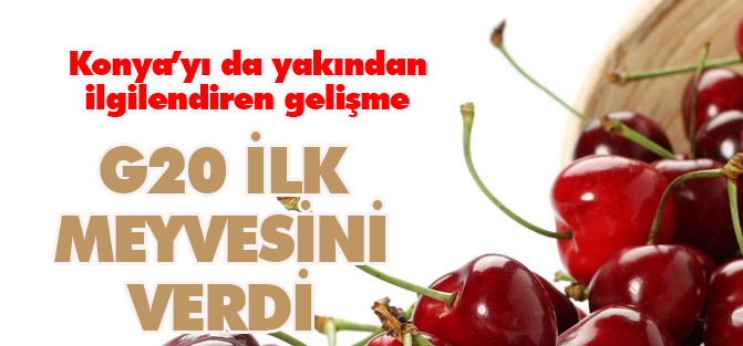 Çinliler Türk kirazını 2016'da yiyecek