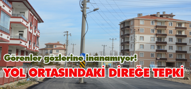 Yol ortasındaki direğe tepki