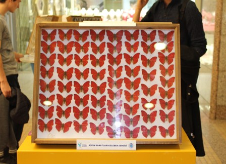 Selçuklu’nun kelebekleri Başkent’te