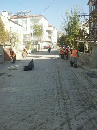 Beyşehir’de yaprak toplama mesaisi