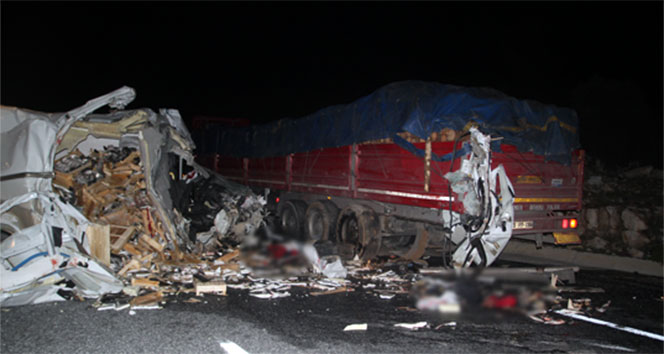 Kolu ve bacakları koparak feci şekilde can verdi!