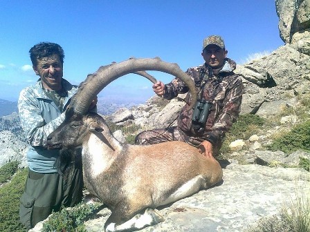 Boynuz uzunluğu 109 santimetre olan dağ keçisi avlandı