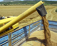 Buğdayı satıp kayıplar karıştı