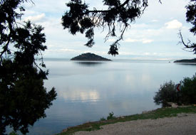 Milli Parklar, yaban hayatını kurtardı