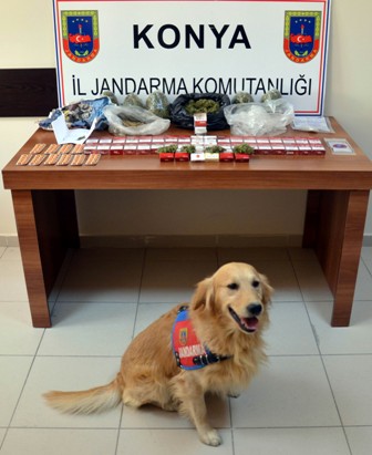 Jandarmadan uyuşturucu operasyonu
