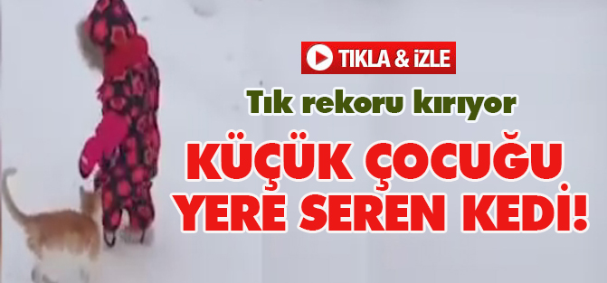 Küçük çocuğu yere seren kedi!
