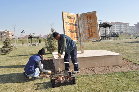 Karatay baharı rengarenk karşılayacak