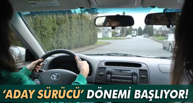 Sürücü belgeleri yenileniyor