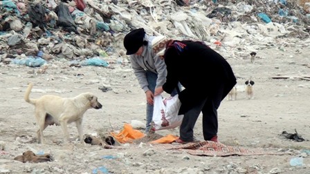 Hayvanseverlerden sokak köpeklerine yardım