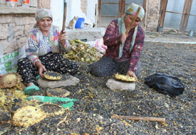 Selkililer kendi yağını kendi üretiyor
