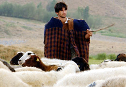 ÇOBAN İRFAN haberindeki yalan!