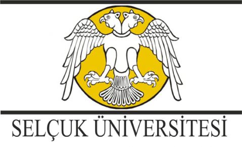 Rektörlük seçiminde yeni isimler