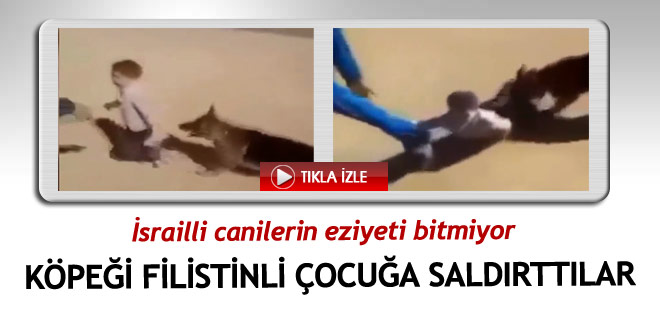 İsrailli caniler köpeği Filistinli çocuğa saldırttı