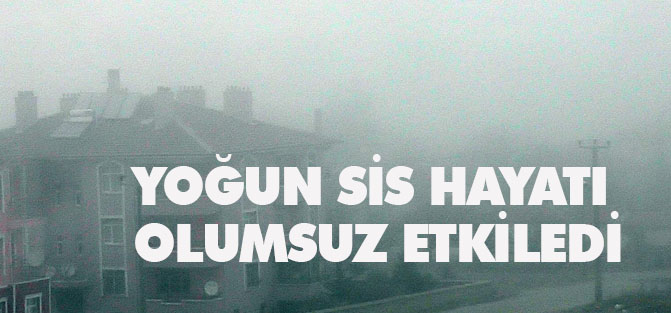 Konya'da yoğun sis hayatı olumsuz etkiledi