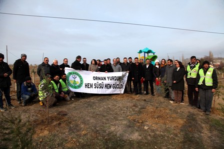 2 bin sedir ağacı dikildi