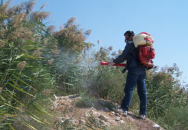 Karapınar'da sinekle mücadele