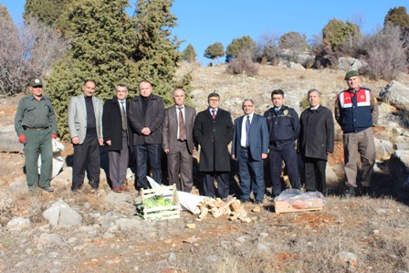 Sokak hayvanlarına yiyecek takviyesi