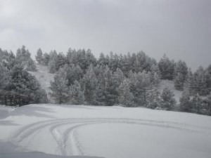 Aladağ'a ilk kar yağdı