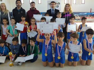 Okullararası Cimnastik İl Birinciliği yapıldı