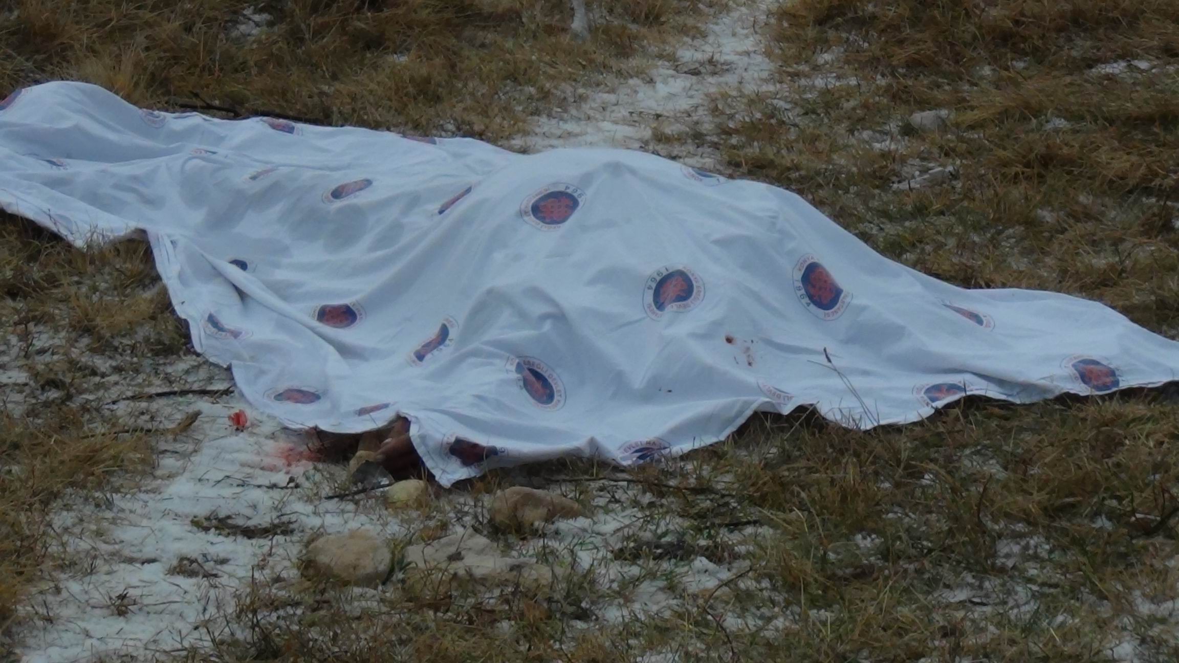 Yardıma giderken otomobilin çarpması sonucu öldü