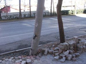 Tehlike saçıyor