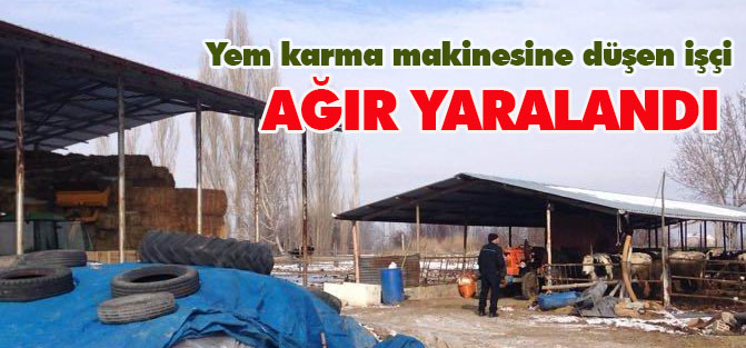 Yem karma makinesine düşerek ağır yaralandı