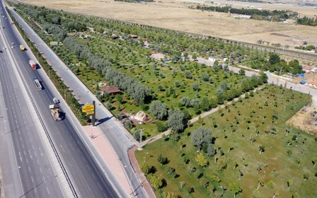 1 yılda 7 milyon fidan toprakla buluştu