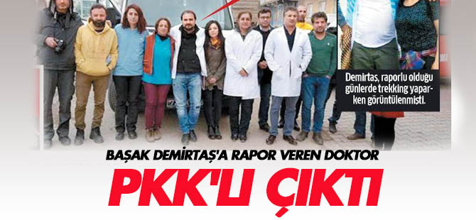 Demirtaş'ın doktoru Faysal'ın teröristi