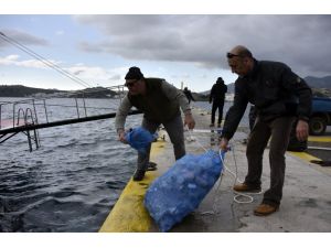 Üniversiteli dalgıçlar Bodrum Limanı'nı temizledi