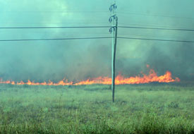 Beyşehir'de 48 arazi yandı