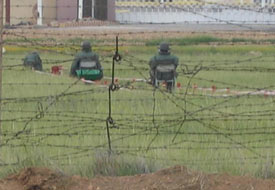 Güneydoğu'da tüyler ürperten olay