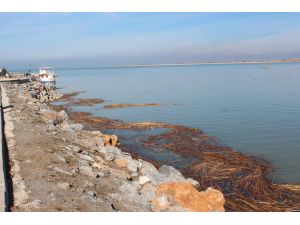 Beyşehir Gölü kıyılarındaki iyileştirme süreci sürecek