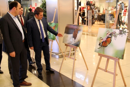 Kelebekler, Doğdu’ya ilham verdi