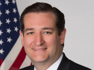 ABD'deki başkanlık ön seçimleri