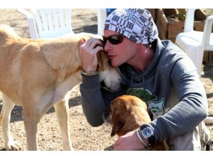 Sokak hayvanları için Kilimanjaro'ya tırmanacak