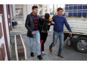 Muğla'da hırsızlık iddiası