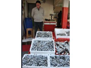 Balıkçılar sezonun son iki ayından umutsuz