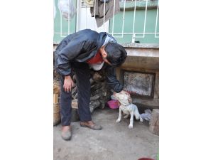 Türkiye'nin üçüncü çift kol nakli