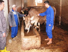 Türkiye aşı geliştirdi, Ermenistan istedi