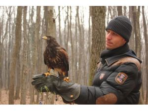 Şahiniyle dostluğu görenleri şaşırtıyor
