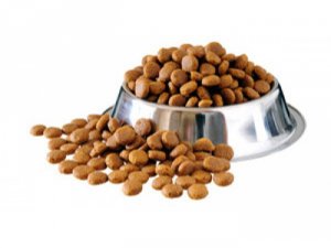 Kedi köpek maması ithalatına 41 milyon dolar