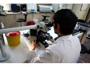 "Zika virüsüyle mücadele bataklıklardan başlamalı"