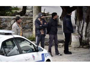 Bodrum'da Myanmar uyruklu 14 kaçak yakalandı