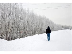 Doğu Anadolu'da kış