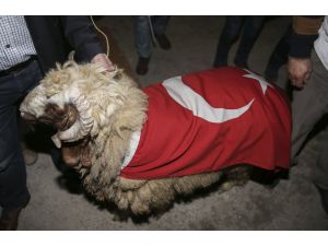 Başbakan Davutoğlu, Mardin'de