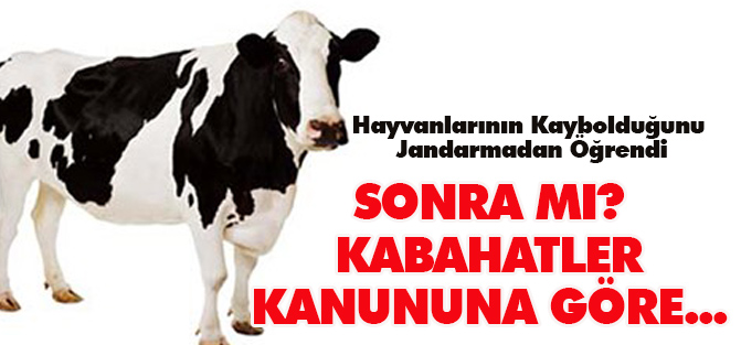 Hayvanlarının Kaybolduğunu Jandarmadan Öğrendi: Sonrası ise...