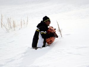 "Çığ timleri"nin zorlu eğitimi