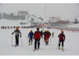 Ergan Uluslararası Dağ Kayağı Yarışları yapıldı